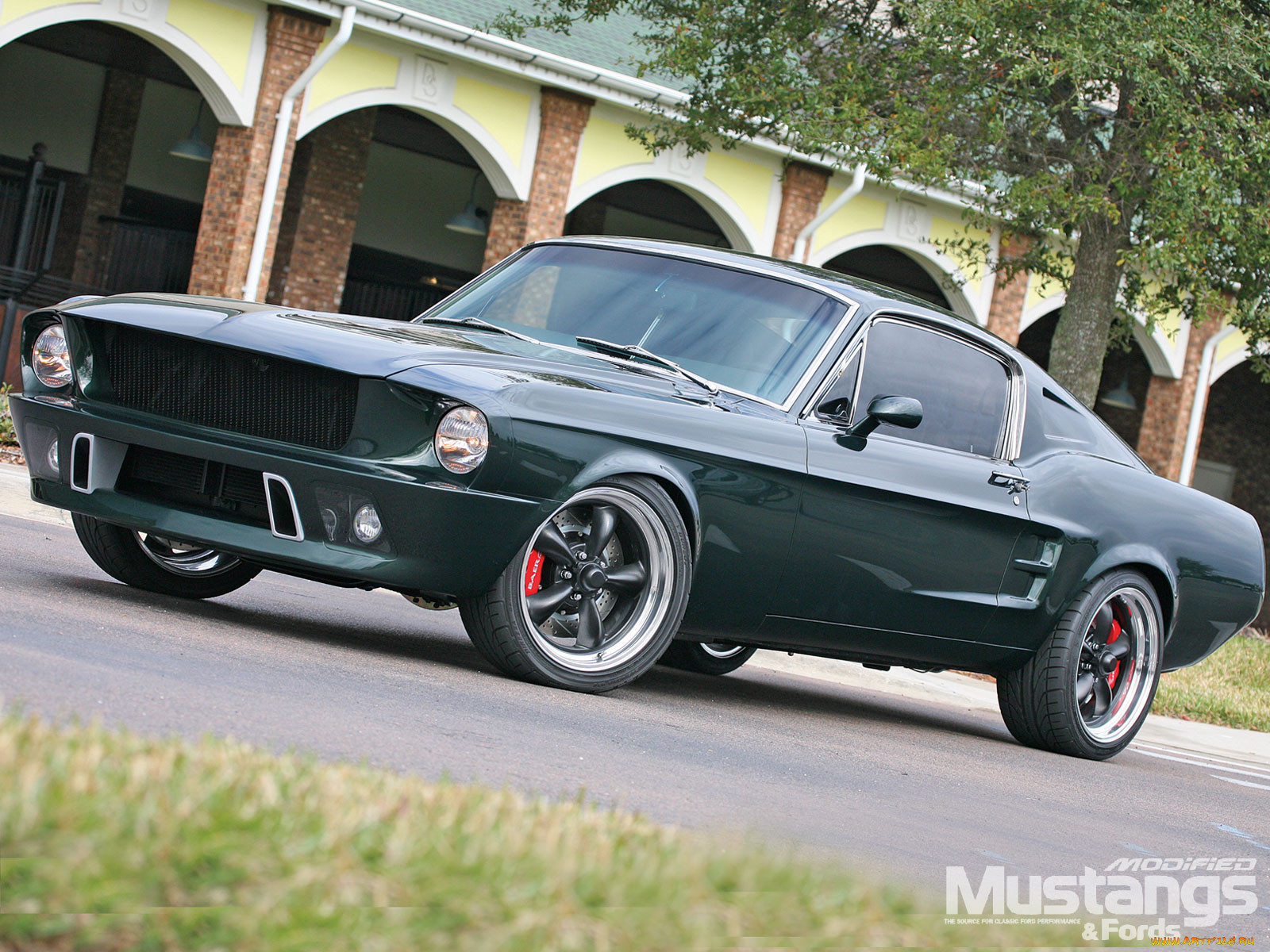 , mustang